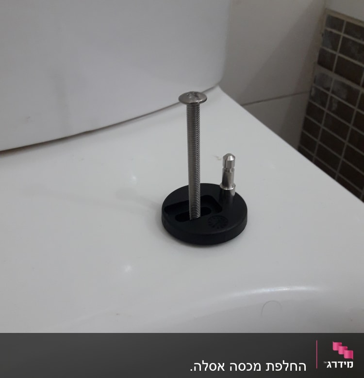 בורג מתכת על מכסה אסלה לבן